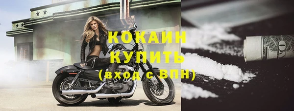 тгк Няндома