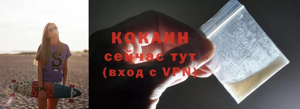 тгк Няндома