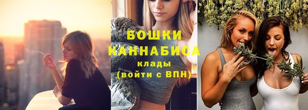 тгк Няндома