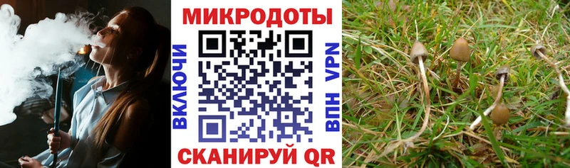 Галлюциногенные грибы Magic Shrooms  наркошоп  Новодвинск 