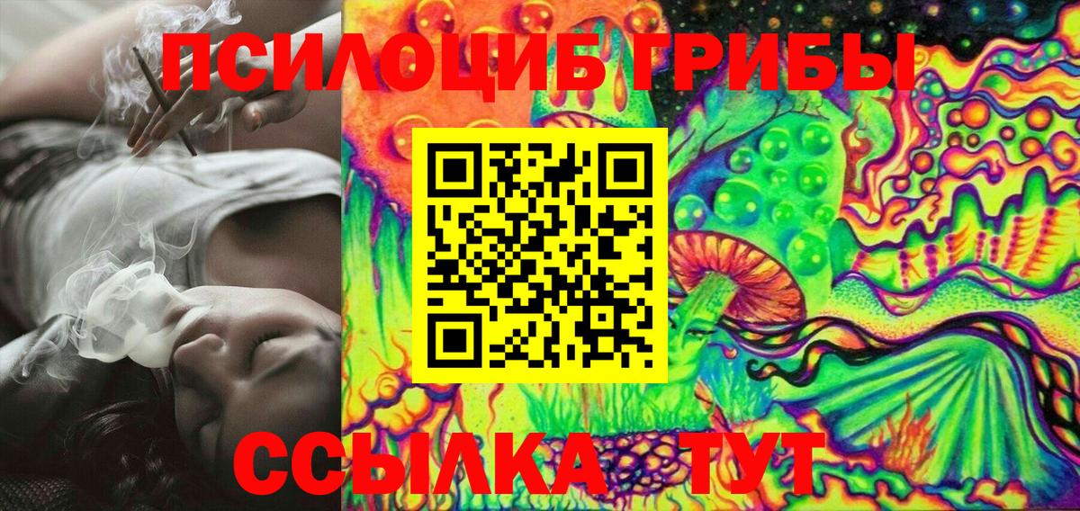 Псилоцибиновые грибы Cubensis  магазин  наркотиков  Новодвинск  Вход с VPN 