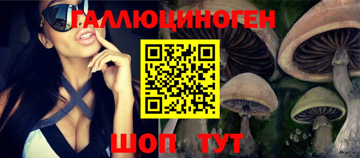 Галлюциногенные грибы Psilocybine cubensis  Новодвинск 