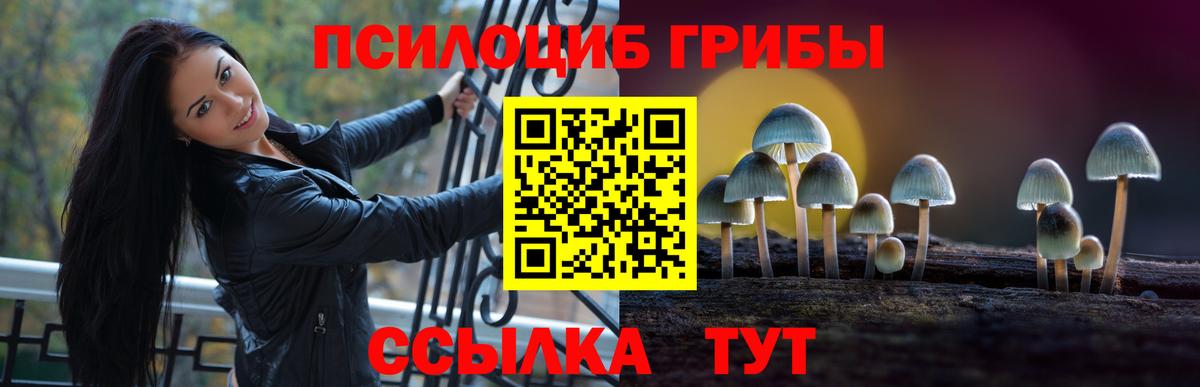 Псилоцибиновые грибы Cubensis Новодвинск