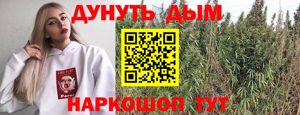 Бошки Шишки гибрид  Вход с VPN  Бошки марихуана VHQ  Марихуана Amnesia  Новодвинск 